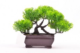 Mini bonsai 3 colores 3202 (1).jpg